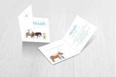 Kindjes met pony Kindjes met pony